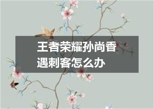 王者荣耀孙尚香遇刺客怎么办