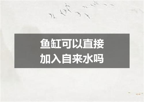 鱼缸可以直接加入自来水吗