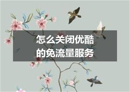 怎么关闭优酷的免流量服务