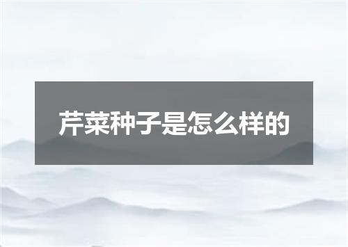 芹菜种子是怎么样的