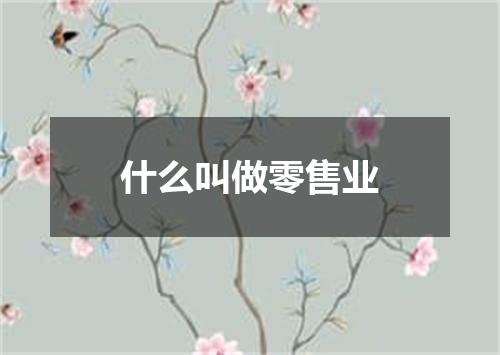 什么叫做零售业