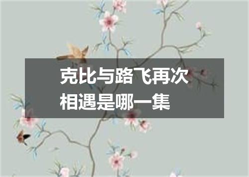 克比与路飞再次相遇是哪一集