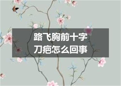 路飞胸前十字刀疤怎么回事