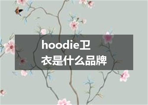 hoodie卫衣是什么品牌