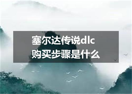 塞尔达传说dlc购买步骤是什么