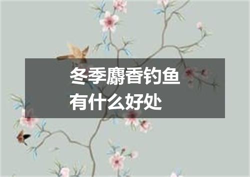 冬季麝香钓鱼有什么好处