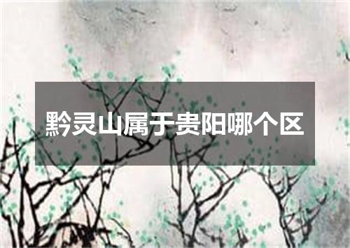 黔灵山属于贵阳哪个区