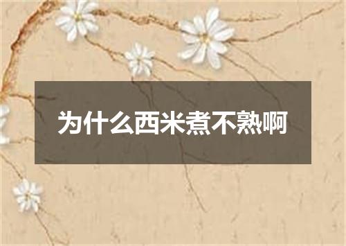 为什么西米煮不熟啊