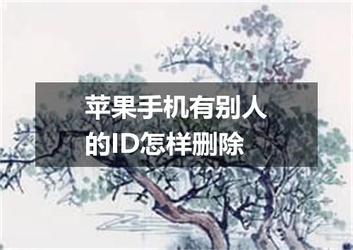 苹果手机有别人的ID怎样删除