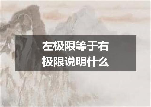 左极限等于右极限说明什么