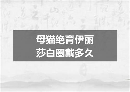 母猫绝育伊丽莎白圈戴多久