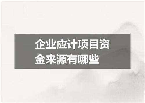企业应计项目资金来源有哪些