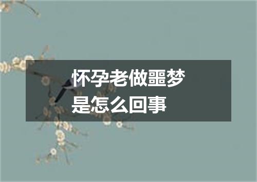 怀孕老做噩梦是怎么回事