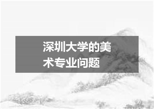 深圳大学的美术专业问题