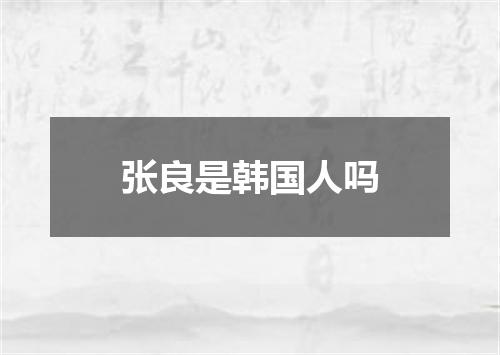 张良是韩国人吗