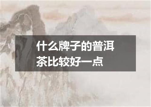 什么牌子的普洱茶比较好一点