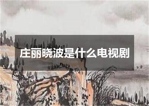 庄丽晓波是什么电视剧