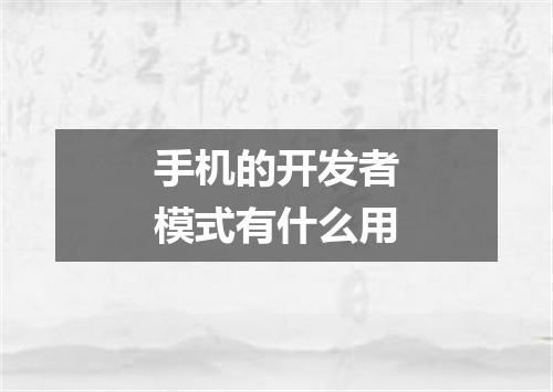 手机的开发者模式有什么用
