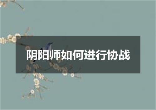 阴阳师如何进行协战