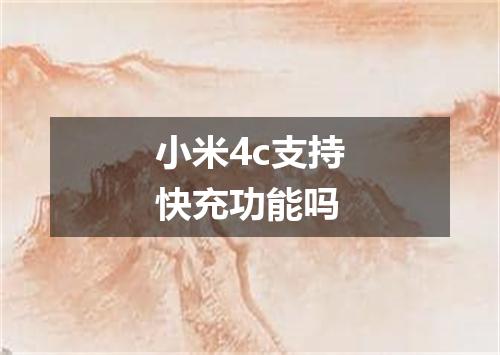 小米4c支持快充功能吗