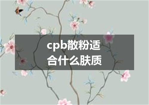 cpb散粉适合什么肤质