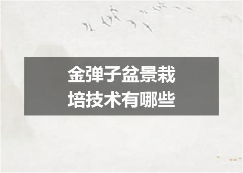 金弹子盆景栽培技术有哪些