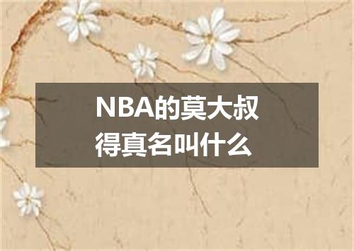 NBA的莫大叔得真名叫什么