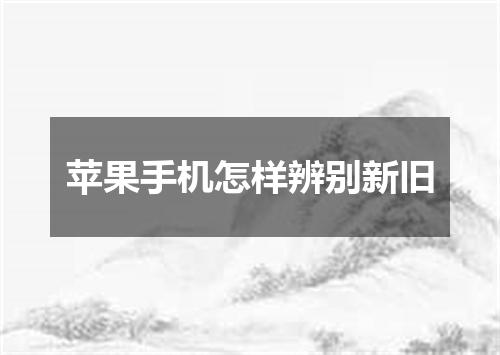 苹果手机怎样辨别新旧