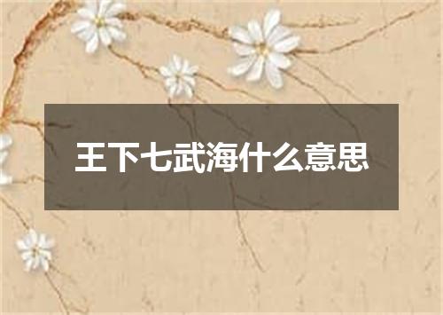 王下七武海什么意思