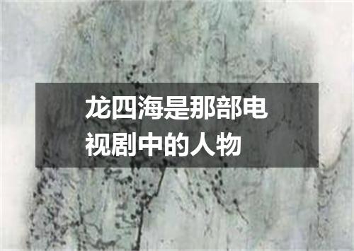 龙四海是那部电视剧中的人物
