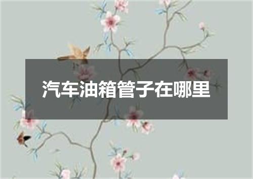 汽车油箱管子在哪里