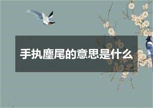 手执麈尾的意思是什么