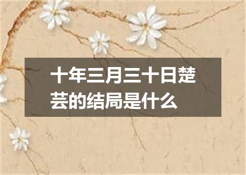 十年三月三十日楚芸的结局是什么