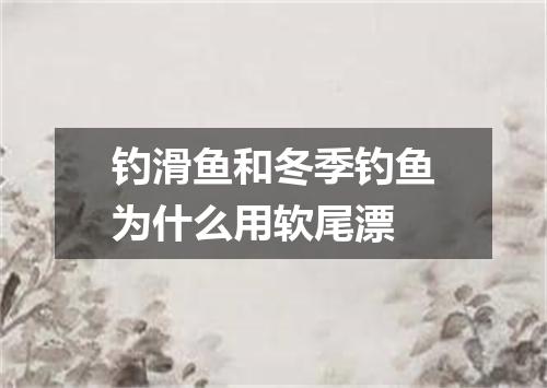 钓滑鱼和冬季钓鱼为什么用软尾漂