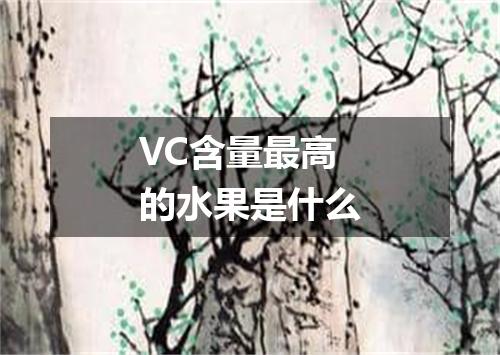 VC含量最高的水果是什么