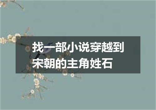 找一部小说穿越到宋朝的主角姓石