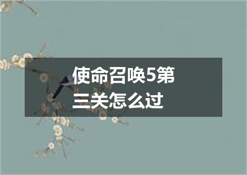 使命召唤5第三关怎么过