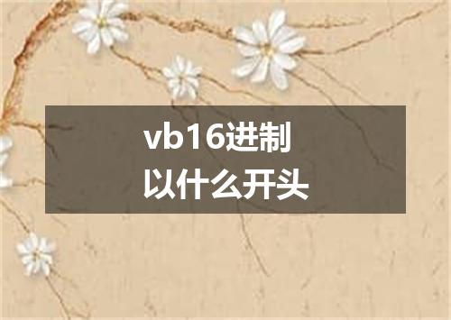 vb16进制以什么开头
