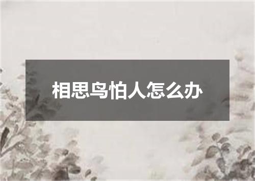 相思鸟怕人怎么办