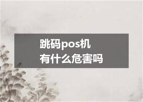 跳码pos机有什么危害吗