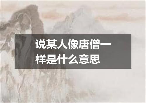 说某人像唐僧一样是什么意思