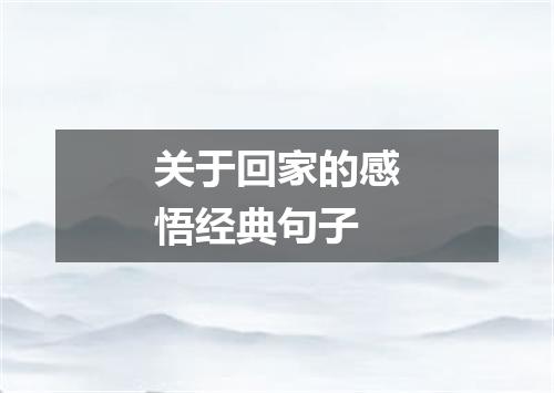 关于回家的感悟经典句子