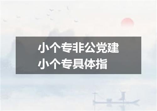 小个专非公党建小个专具体指