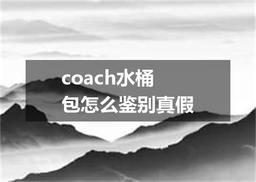 coach水桶包怎么鉴别真假