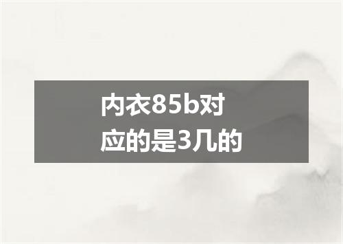 内衣85b对应的是3几的