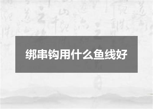 绑串钩用什么鱼线好