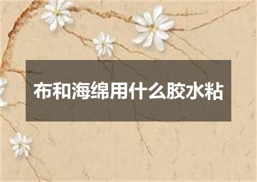 布和海绵用什么胶水粘