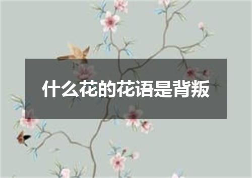 什么花的花语是背叛