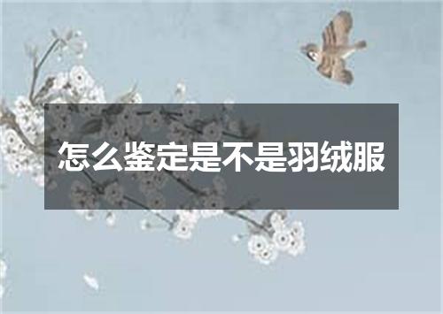 怎么鉴定是不是羽绒服