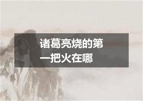 诸葛亮烧的第一把火在哪